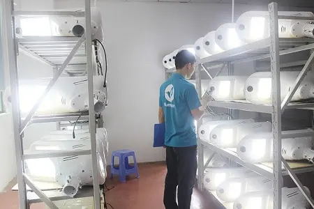 Inspection