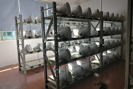 Solar Fly Hawk Light Aging Test