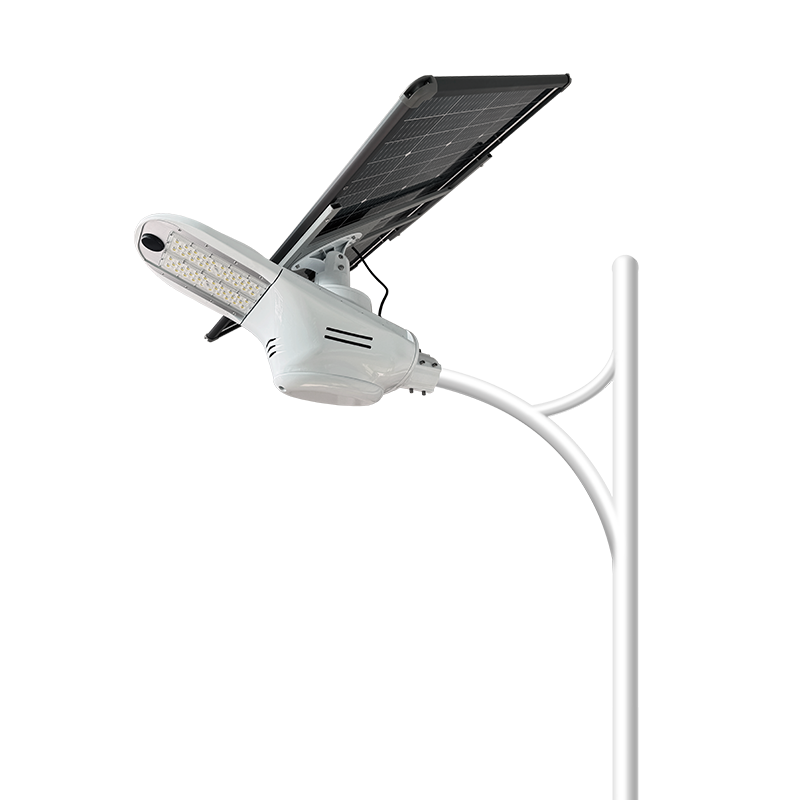 Solar Street Light With Adjustable Solar Panel