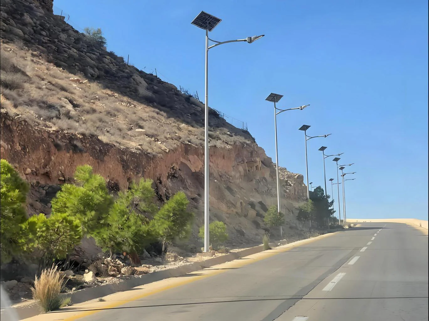 Solar street light application