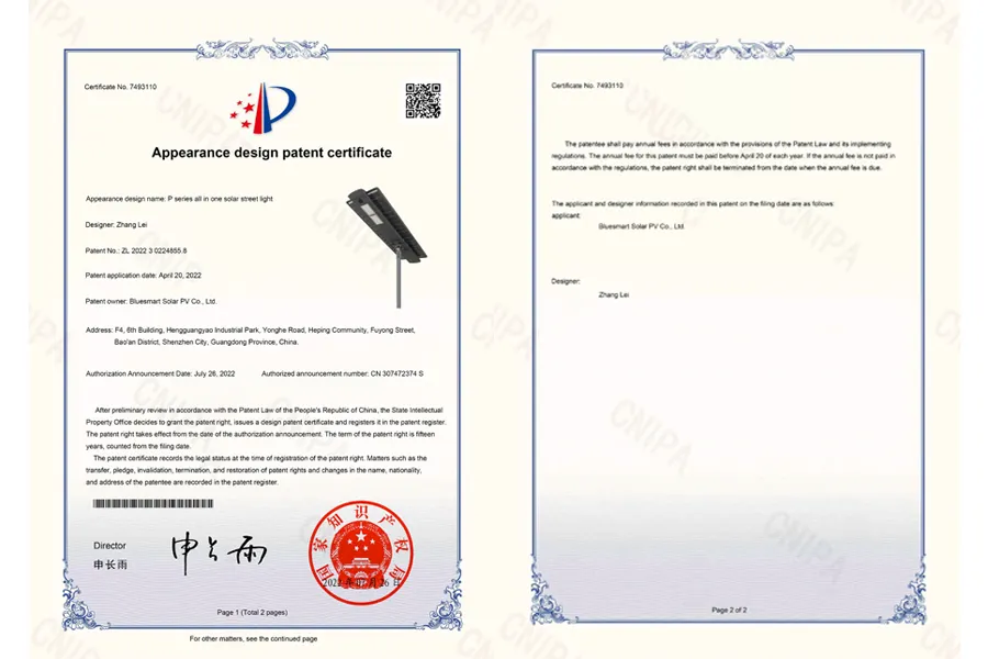Design Patent - P Series