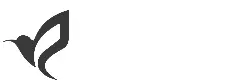 obluesmart